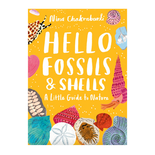 Hello Fossils & Shells: A Little Guide to Nature