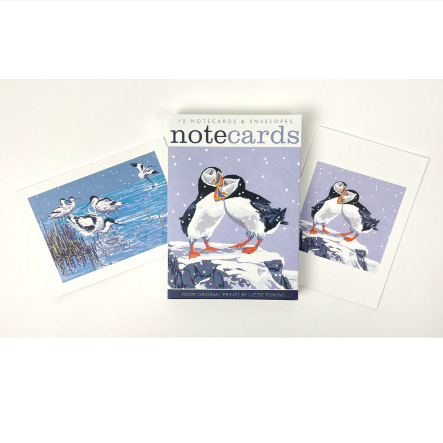 Notecard Pack - Snowy Puffins and Winter Avocets