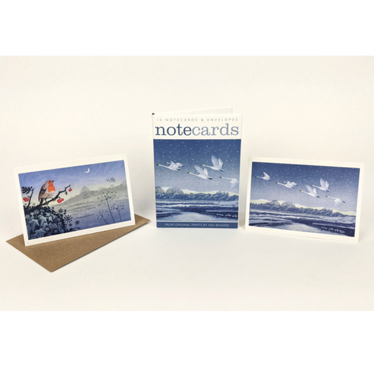 Notecard Pack - Snow Flight and Solstice