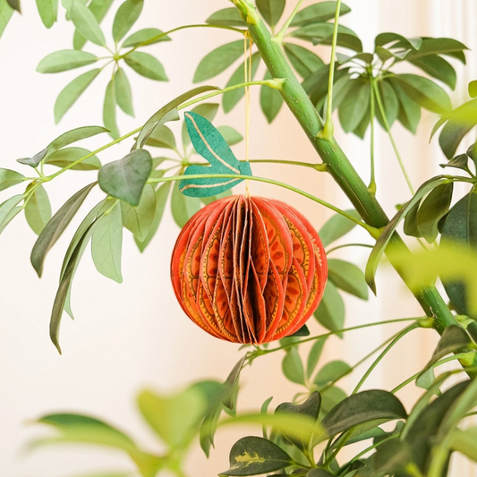 Orange Decoration